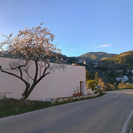 Finca El Almendro Archez Екстер'єр фото