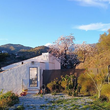 Finca El Almendro Archez Екстер'єр фото