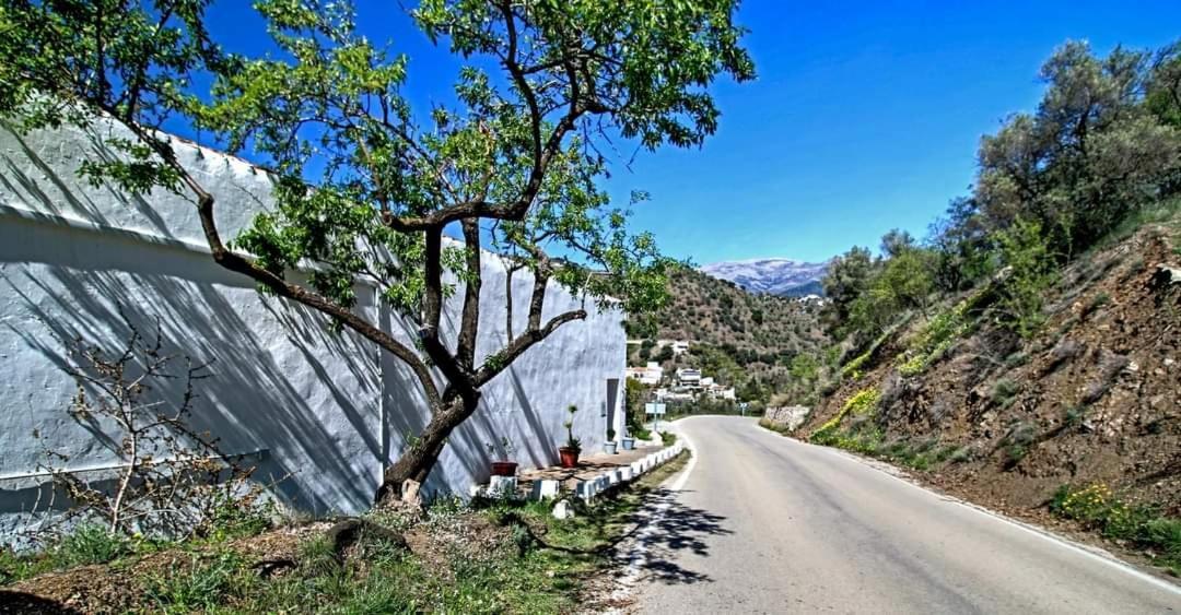 Finca El Almendro Archez Екстер'єр фото
