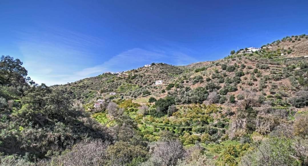 Finca El Almendro Archez Екстер'єр фото