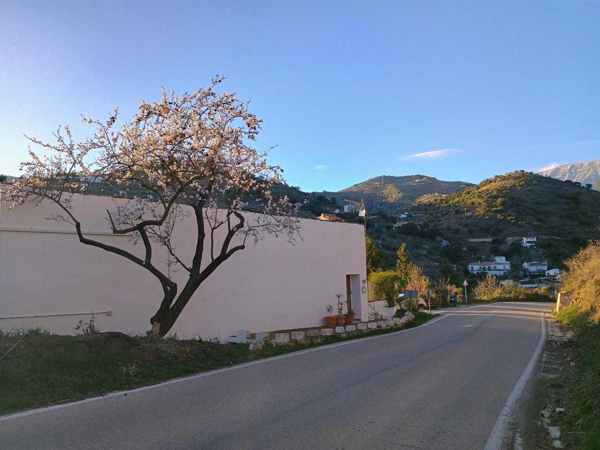 Finca El Almendro Archez Екстер'єр фото