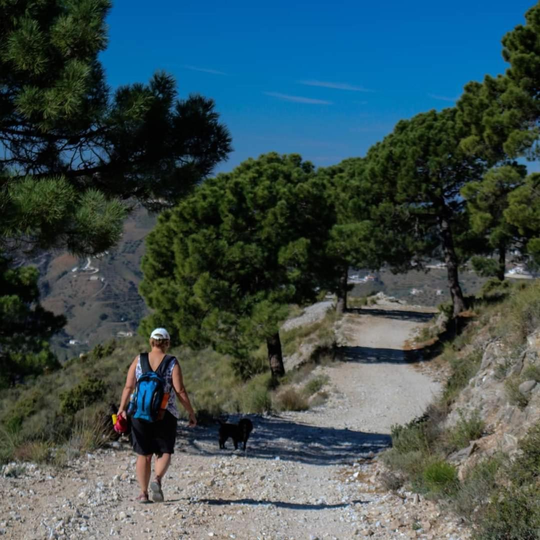 Finca El Almendro Archez Екстер'єр фото