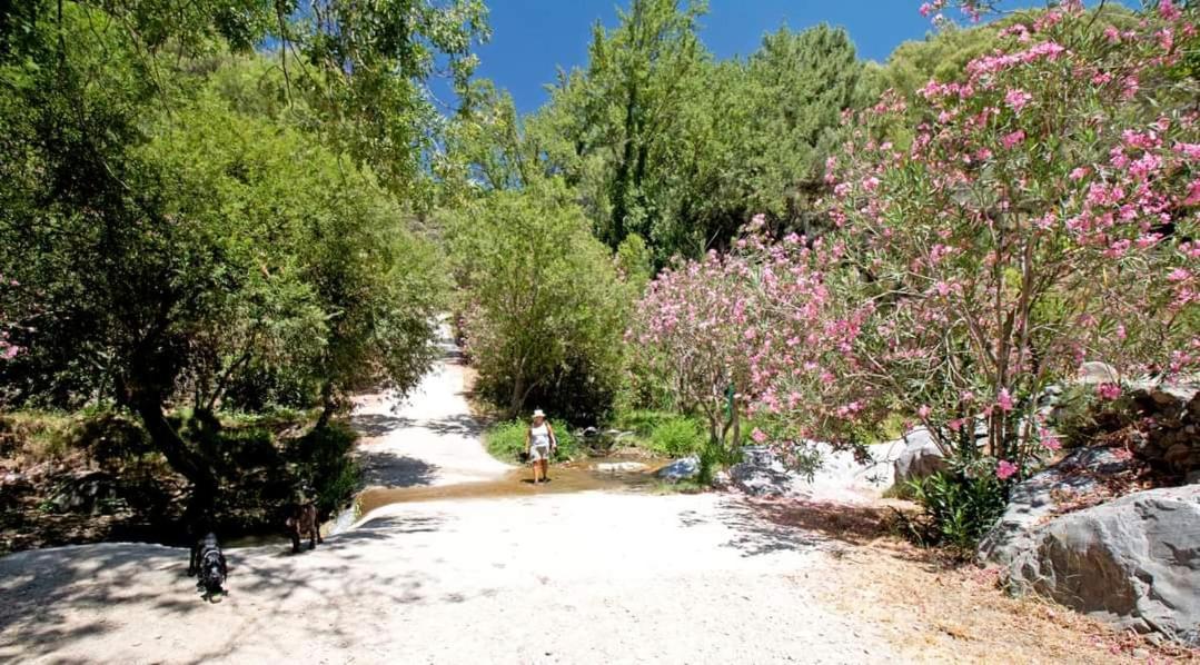 Finca El Almendro Archez Екстер'єр фото